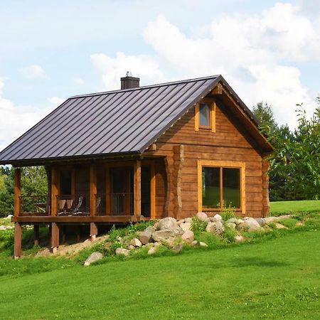 Vip Forest Dreams Villa Anyksciai Exterior foto