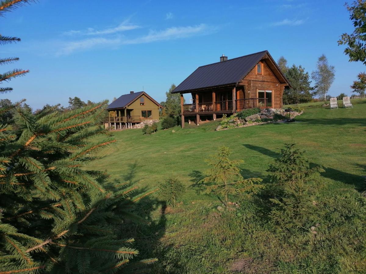 Vip Forest Dreams Villa Anyksciai Exterior foto