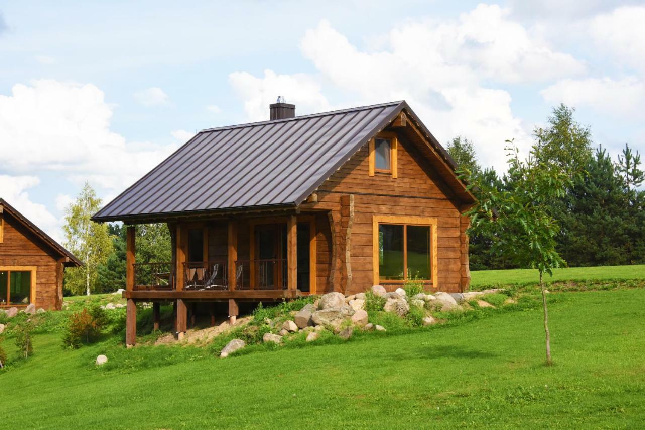 Vip Forest Dreams Villa Anyksciai Exterior foto