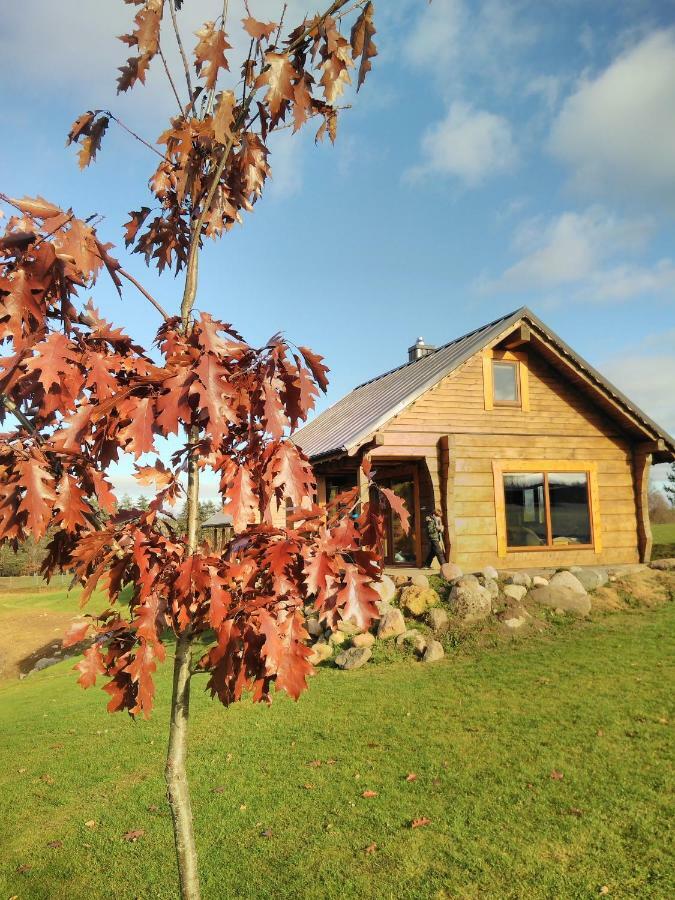 Vip Forest Dreams Villa Anyksciai Exterior foto