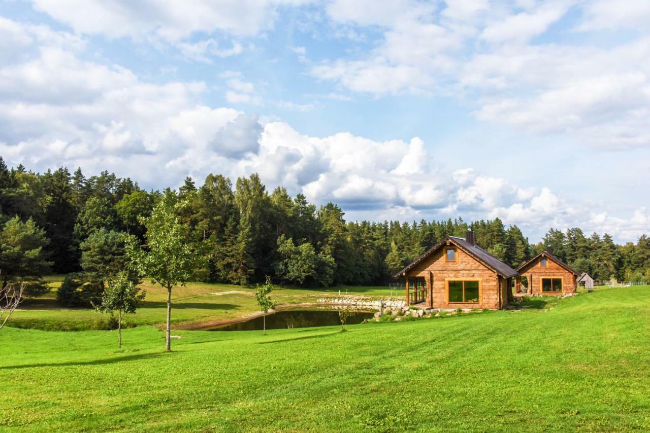 Vip Forest Dreams Villa Anyksciai Exterior foto