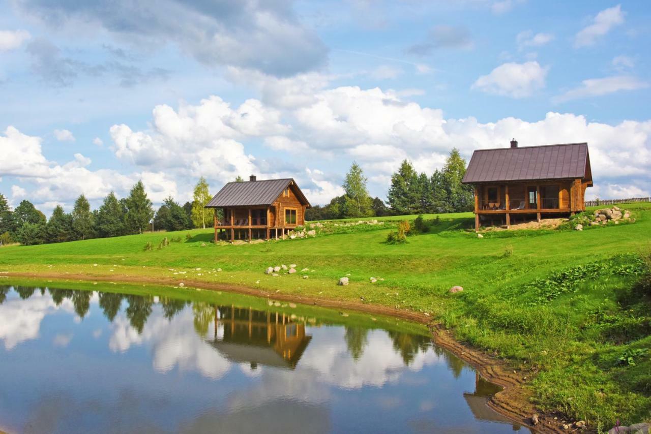 Vip Forest Dreams Villa Anyksciai Exterior foto