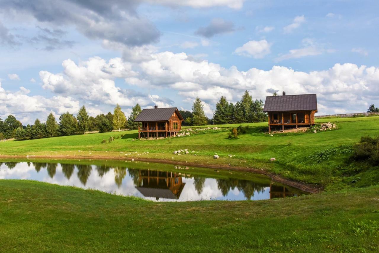 Vip Forest Dreams Villa Anyksciai Exterior foto
